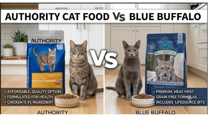 Authority Cat Food Vs Blue Buffalo