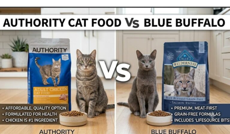Authority Cat Food Vs Blue Buffalo