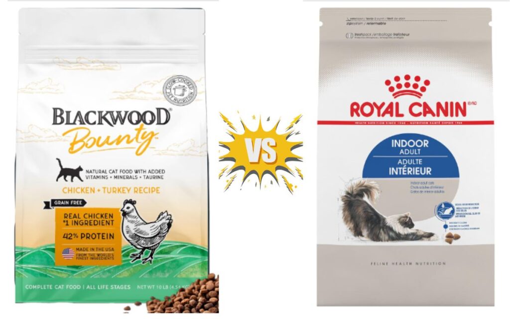 Blackwood Cat Food vs Royal Canin
