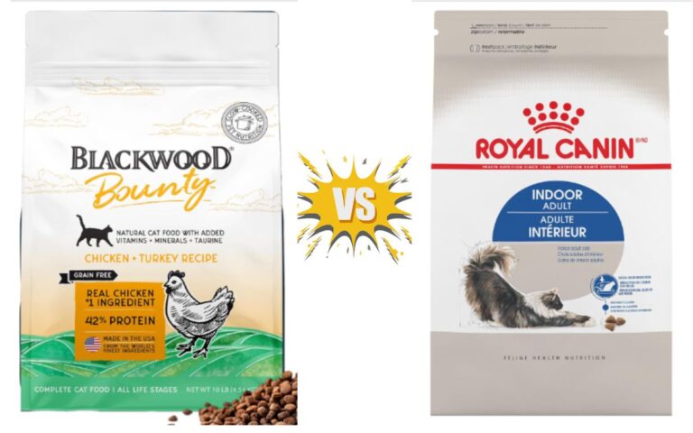 Blackwood Cat Food vs Royal Canin
