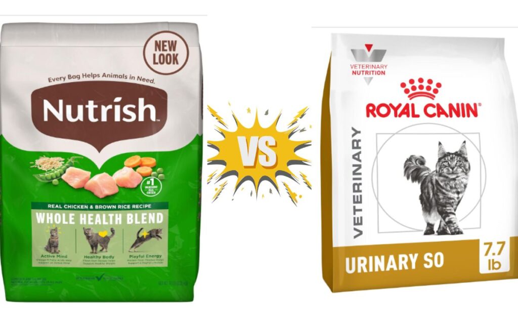 Nutrience Cat Food Vs Royal Canin