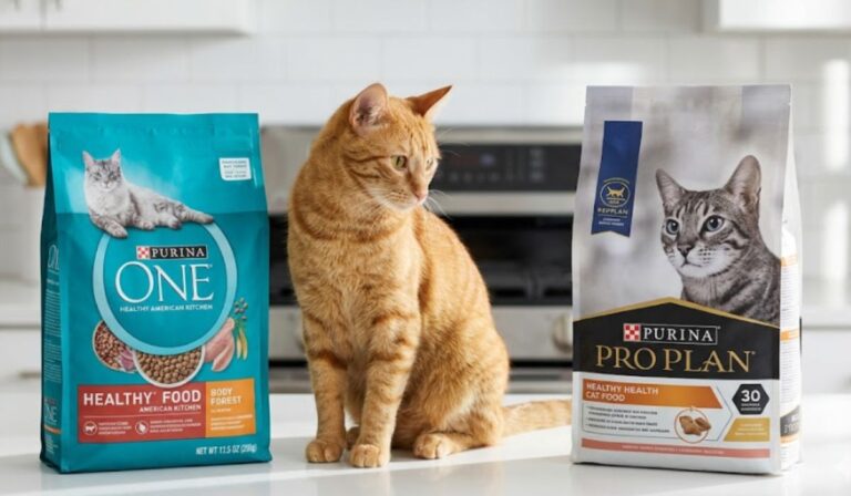 Purina One Vs Purina Pro Plan Cat Food