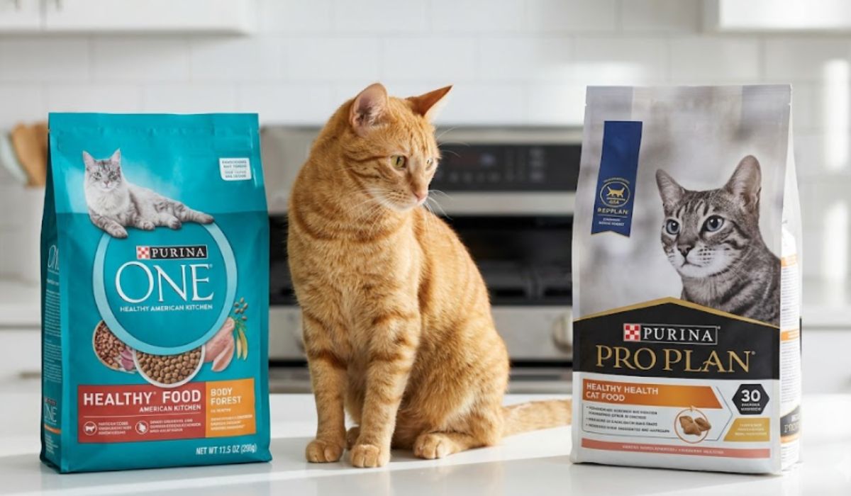 Purina One Vs Purina Pro Plan Cat Food