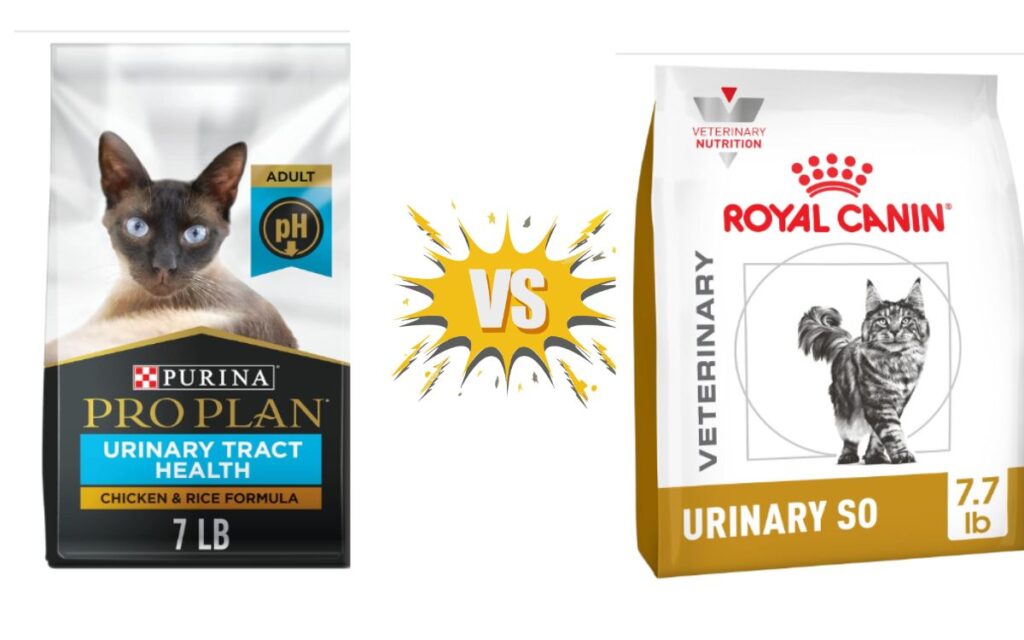 Purina Pro Plan Urinary Vs Royal Canin So Cat Food