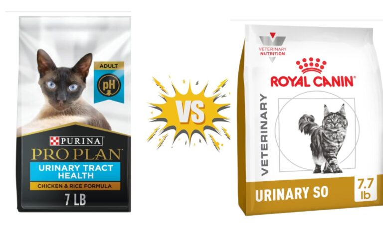 Purina Pro Plan Urinary Vs Royal Canin So Cat Food