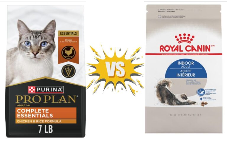 Purina Pro Plan Vs Hills Vs Royal Canin Cat Food