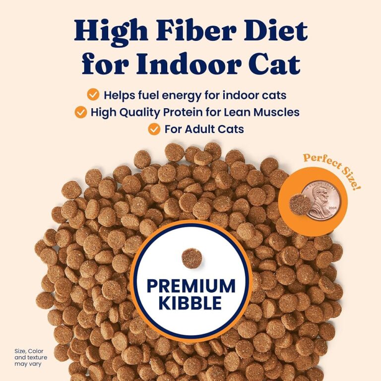 Why Do Cats Need Indoor Cat Food