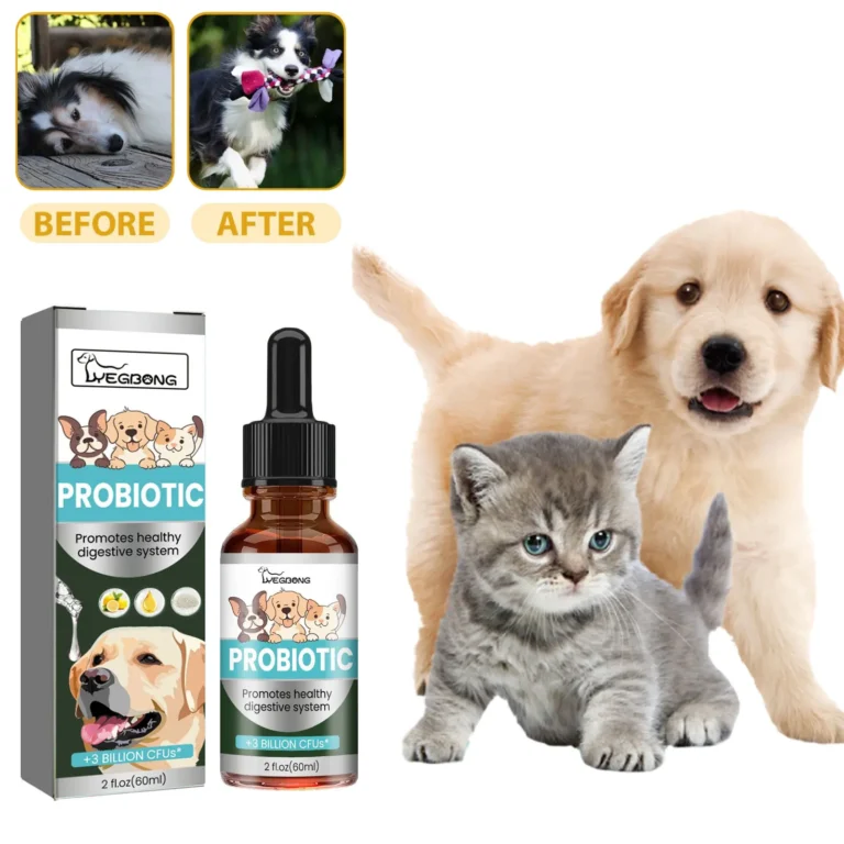 Why Does Changing Cat Food Cause Diarrhea