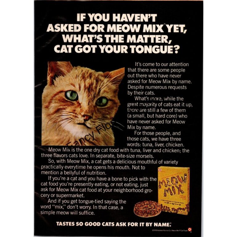 Why Is My Cat Not Eating Chicken