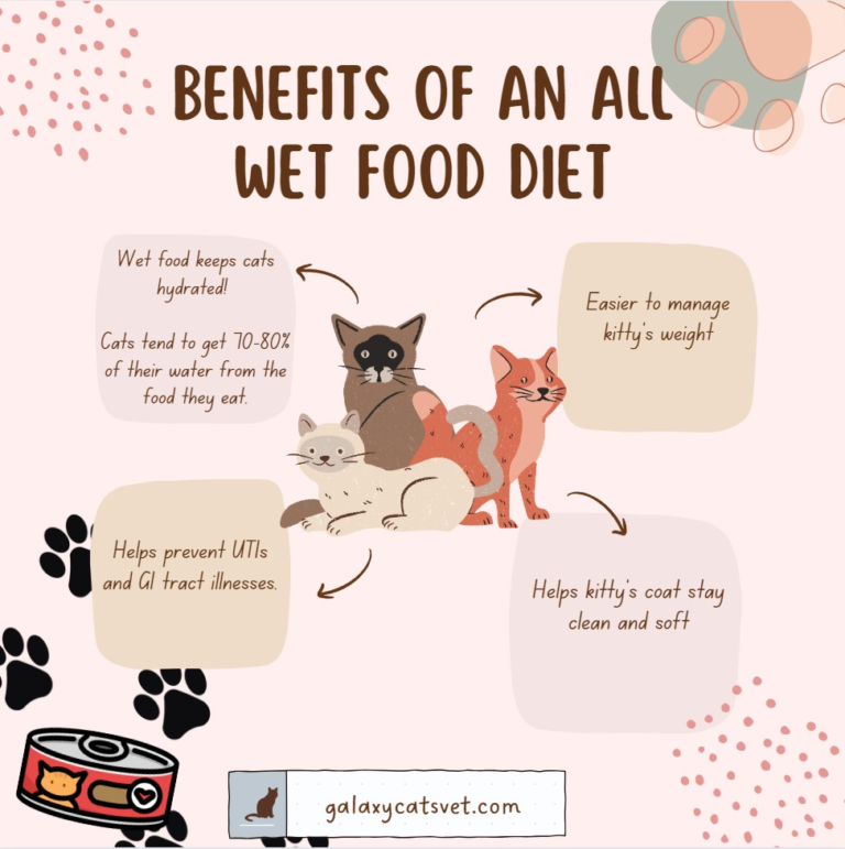 Why Does My Cat Only Eat The Middle Of Wet Food
