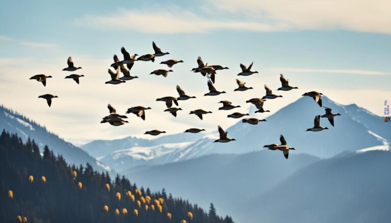 How Do Birds Travel