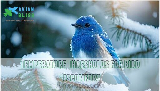How Do Birds Survive Below Zero Temps